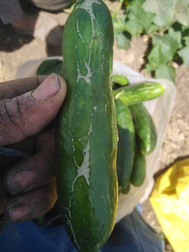 ايه الإصابة والعلاج