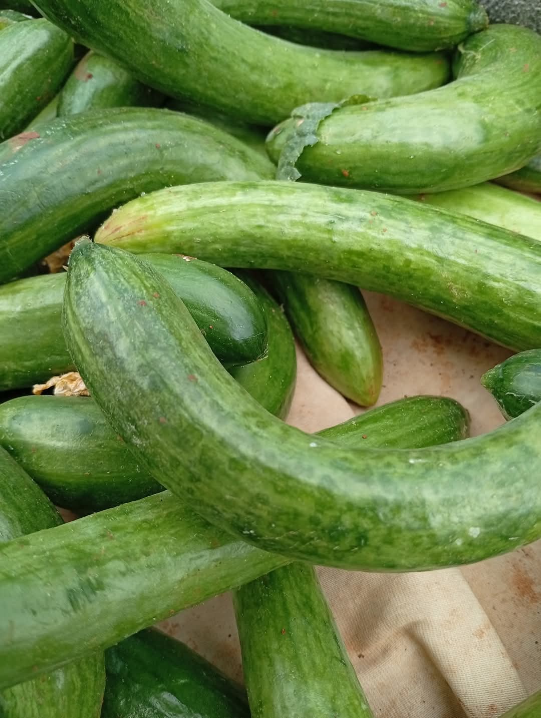 ماهو المرض والعلاج