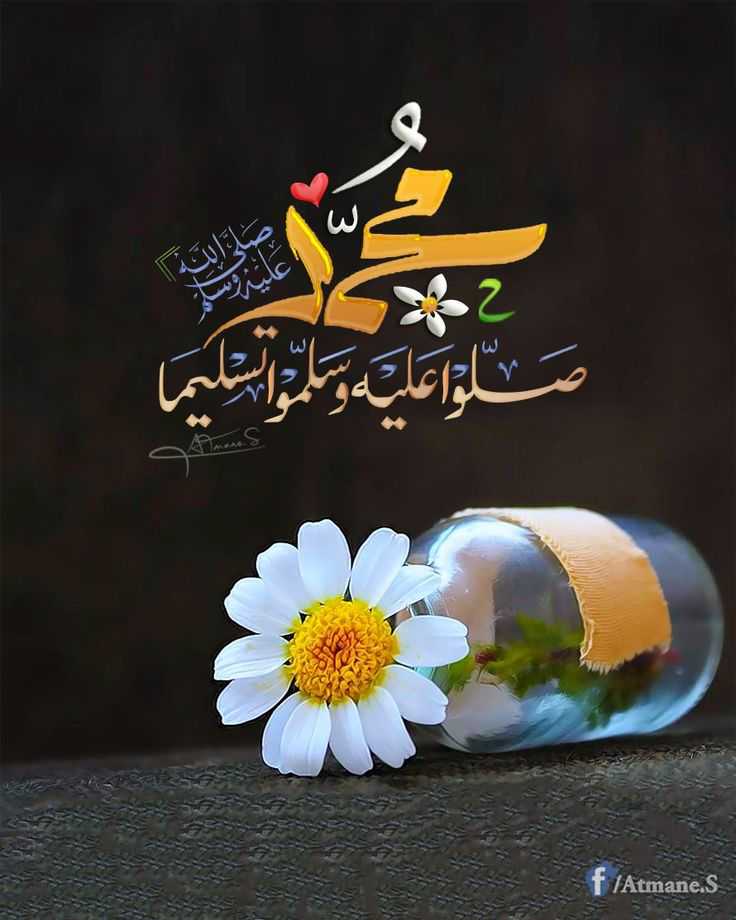 السلام عليكم ورحمة الله وبركاته بعد اذنك يا هندسه ايه أفضل مبيد للحشائش في الأرز مع العلم أن هناك حشائش موجودة في الأرض والأرز لسه عمر ٤ايام أنا ضيفت ساترين بعد التلويط وشكرا