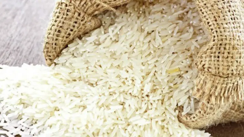 سعر الأرز في مصر يُسجل مستويات قياسية جديدة