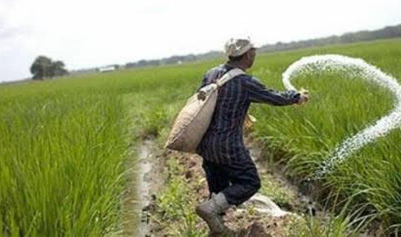 More costly fertilisers