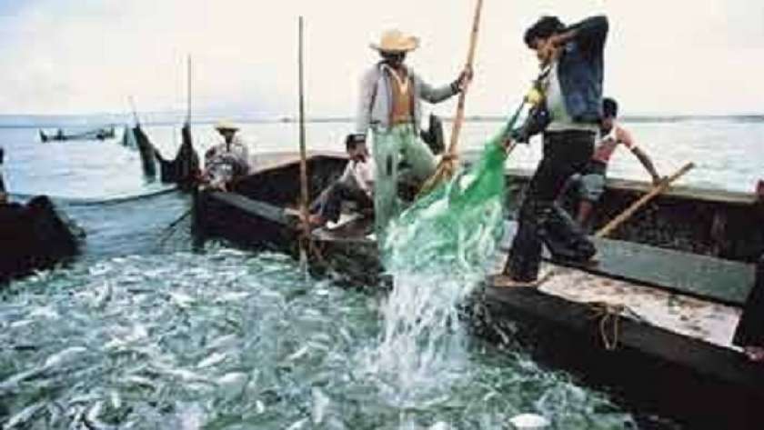 «الثروة السمكية»: إنتاج بحيرة المنزلة وصل إلى 120 ألف طن سنويا