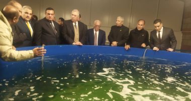 وزيرا التنمية المحلية والزراعة يتفقدان مفارخ الأسماك غرب بورسعيد