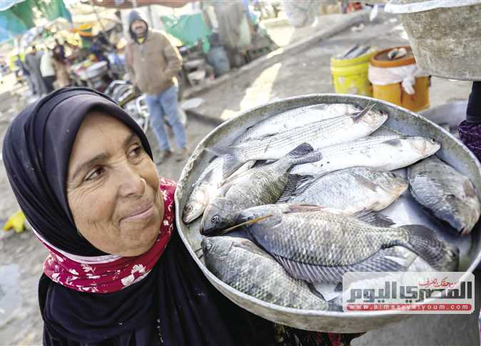 «المصري اليوم» ترصد معاناة «سيدات الأسماك» في مصائد كفر الشيخ (فيديو وصور)
