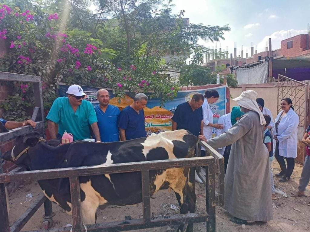 «الزراعة» تطلق قافلة بيطرية لعلاج مواشي صغار المربين مجانا في محافظة الوادي الجديد في اطار مبادرة حياة كريمة