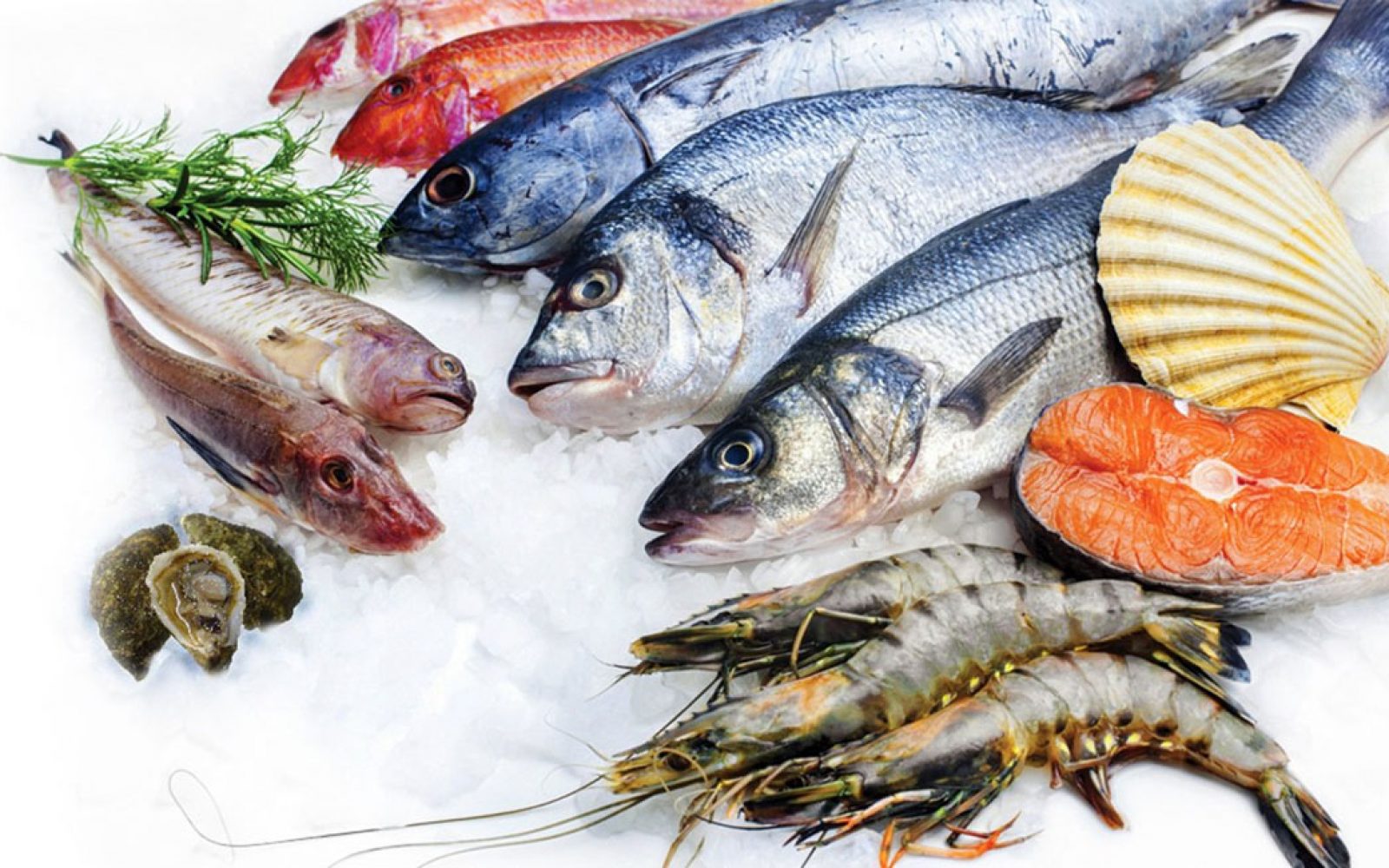 أسعار السمك اليوم الأحد 20-6-2021 في مصر