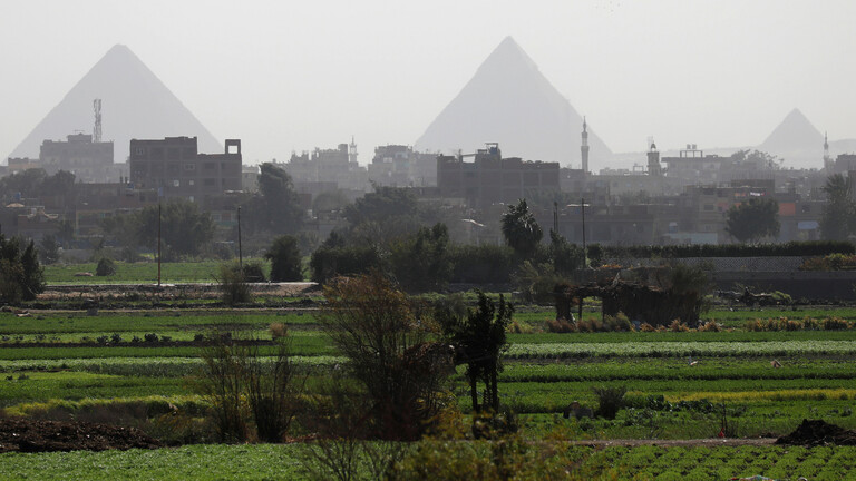 مصر تنجح في زراعة المحصول الأول من نوعه لمواجهة أزمة المياه