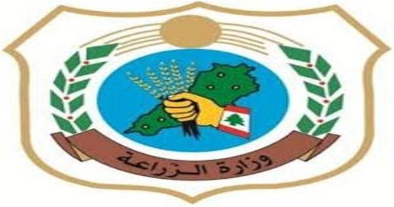 الزراعة اللبنانية تسمح باستيراد الخضار والفواكه المصرية