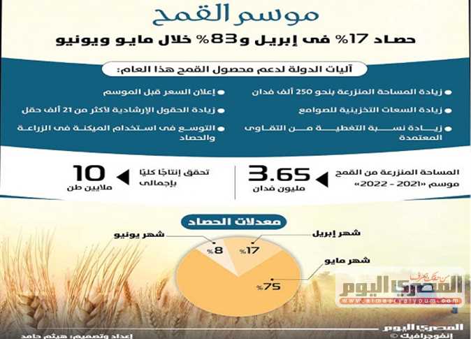 «موسم القمح».. حصاد 17% فى إبريل و83% خلال مايو ويونيو