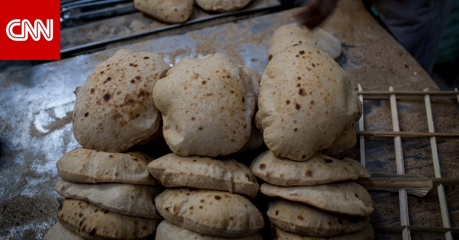 وزير التموين: دراسة إضافة البطاطا البيضاء فى إنتاج الخبز لتقليل نسبة القمح المستورد