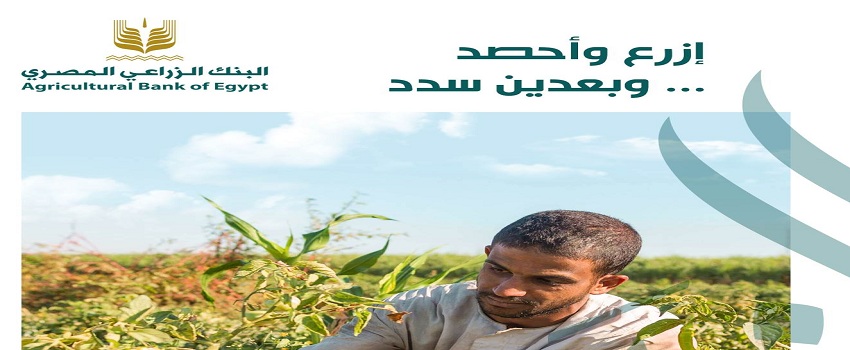 «إزرع وأحصد .. وبعدين سدد» قرض المحاصيل الزراعية بعائد 5% من البنك الزراعي المصري