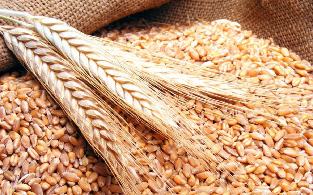 مصر تطرح مناقصة عالمية جديدة لاستيراد القمح