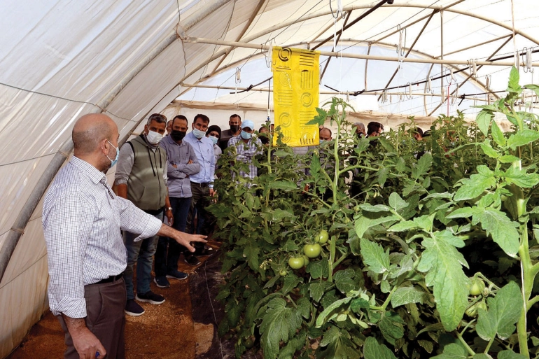 تزيد خصوبة التربة.. طريقة جديدة للزراعة في قطر تجمع أساليب زراعية متعددة