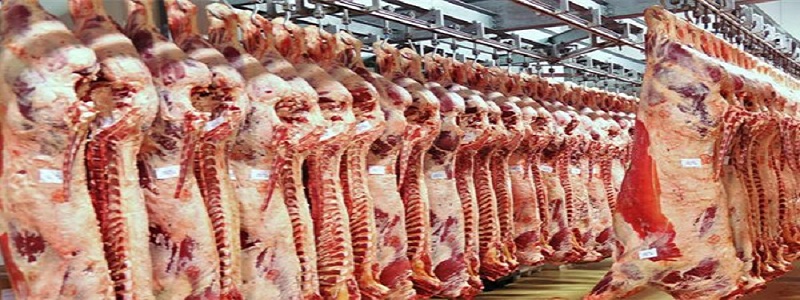 الزراعة: قرار حظر اللحوم الهندية لن يؤثر على الأسعار