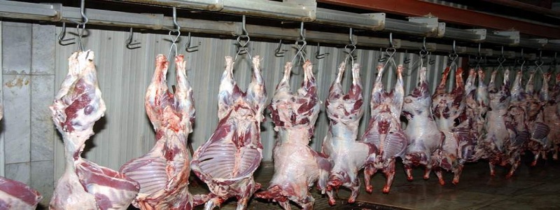 زيادة الأعلاف ونقص المعروض وتراجع الاستيراد وراء ارتفاع أسعار اللحوم البلدية
