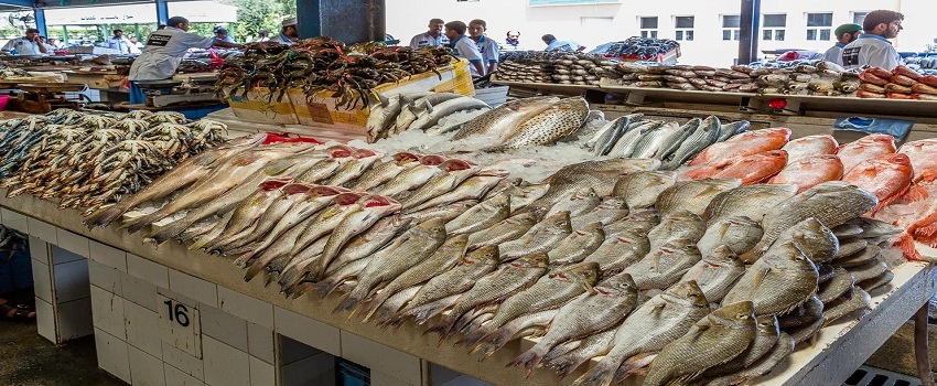 أسعار السمك اليوم 15-8-2021 فى مصر
