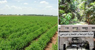 10 محاور للتنمية الزراعية فى مصر.. اقرأ التفاصيل