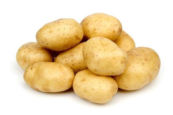 إرشادات هامة لمزارعي العروة الخريفية لمحصول البطاطس