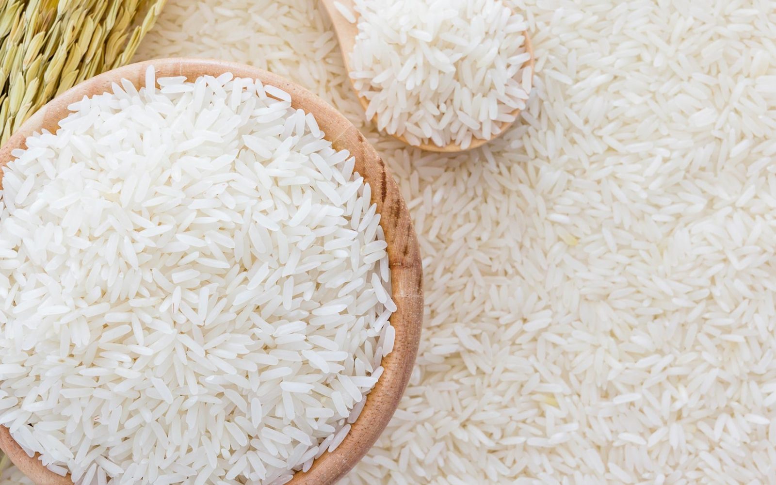 شعبة الأرز : 100-200 جنيه انخفاضًا في سعر الطن